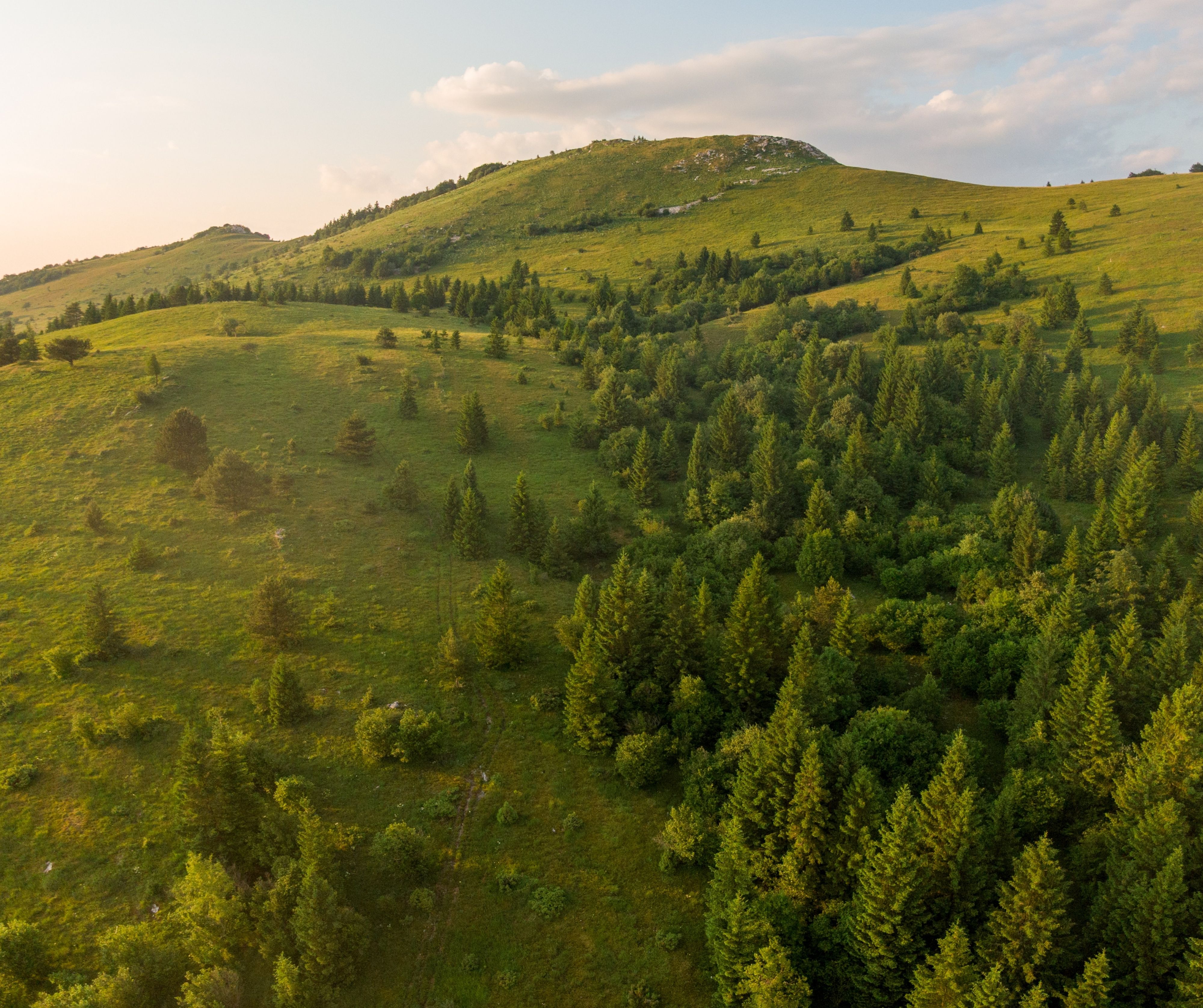 07 08 Sneznik 3